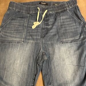 Judy Blue Jogger Jeans